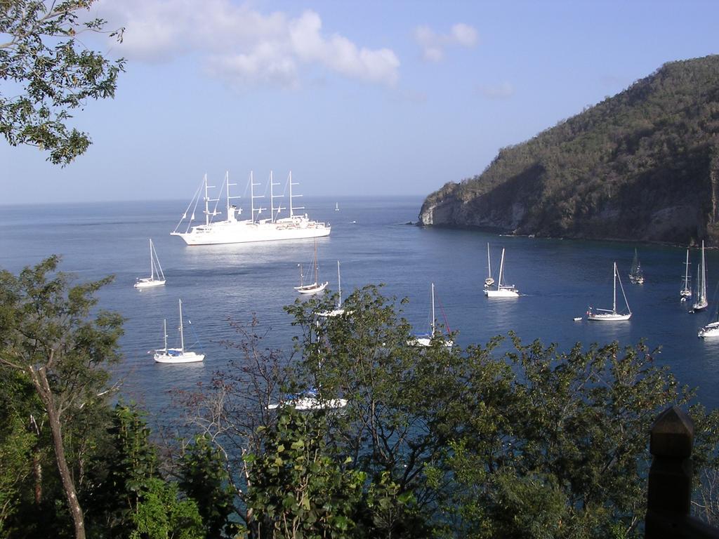 Villa Palm Bay Stunning View 5 Min To Beach 3 Min To Downtown King Size Bed Deshaies Exteriér fotografie